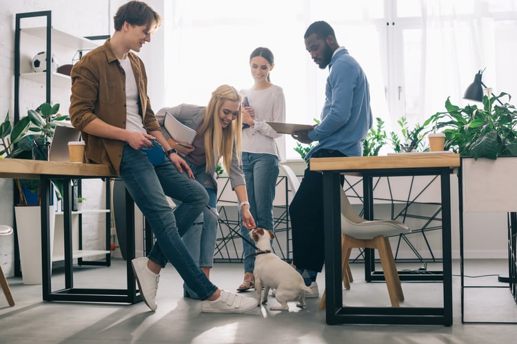 Employees meeting in a dog-friendly office