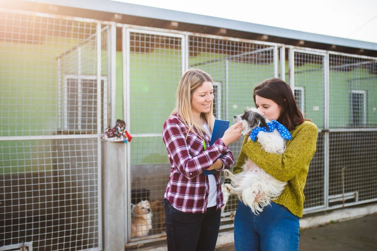 Employees celebrating a work anniversary by volunteering at a shelter