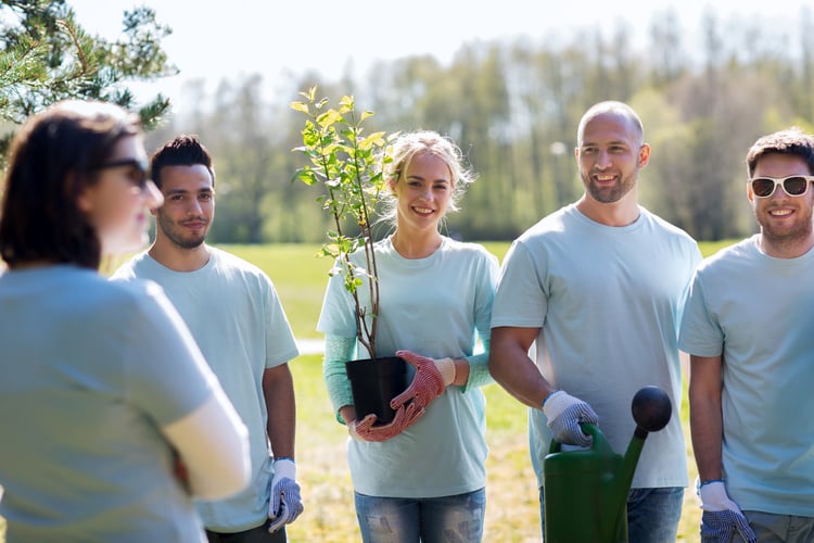 Team volunteer work